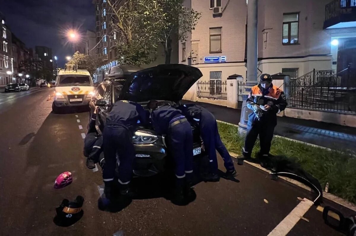    Специалисты «СпасРезерва» подбирали варианты, как спасти животное.