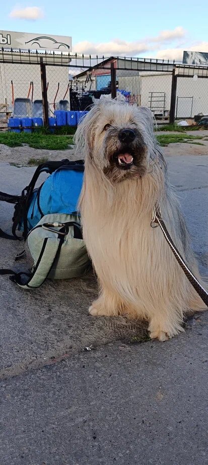 Силя старательно позирует, еще не зная, что его ждет впереди