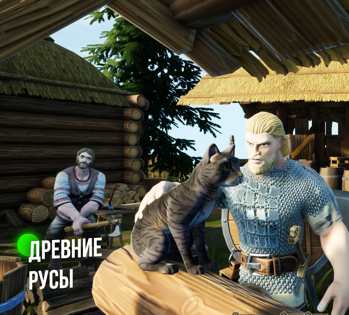 Листайте карточки