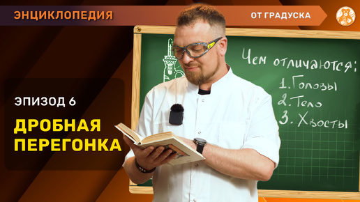 ДРОБНАЯ ПЕРЕГОНКА: что такое ГОЛОВЫ, ТЕЛО, ХВОСТЫ и как их применять?