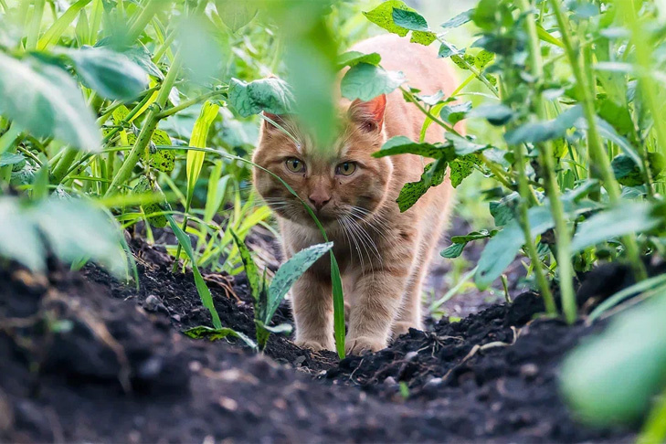    Фото Андрея Заржецкого