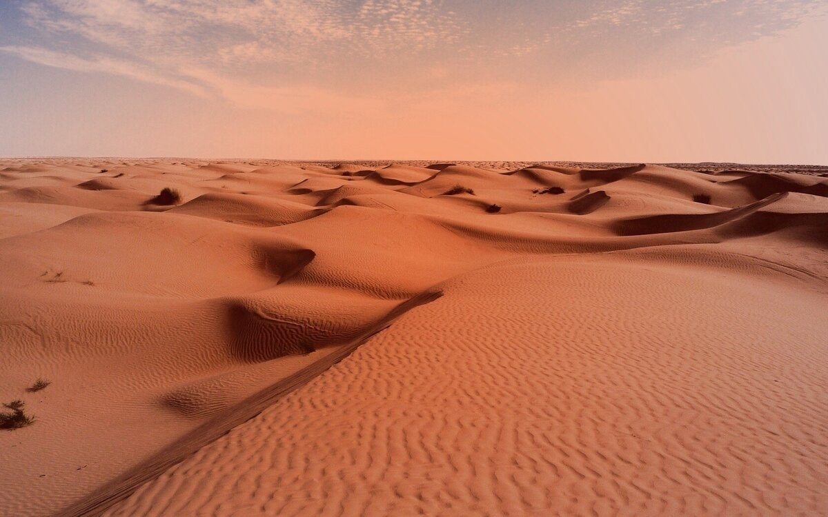 Все референсы взяты с просторов интернета, исключительно для вдохновения