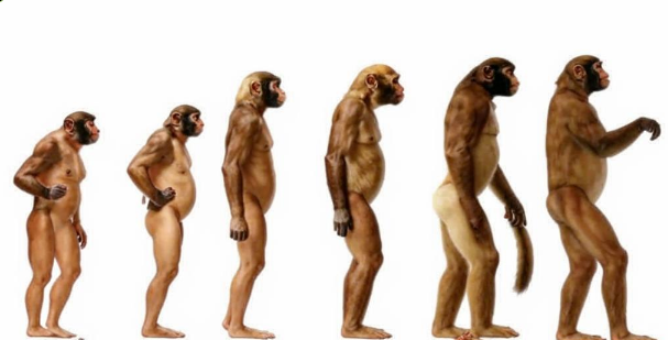 Сгенерировано ИИ