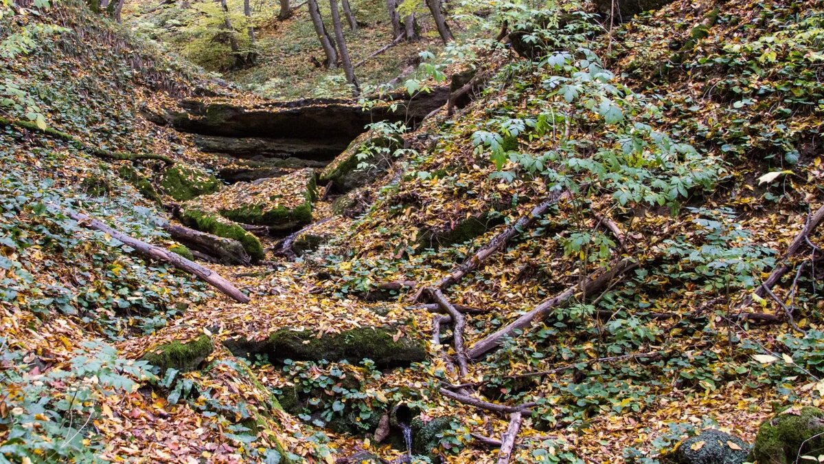     Источник: 1MI