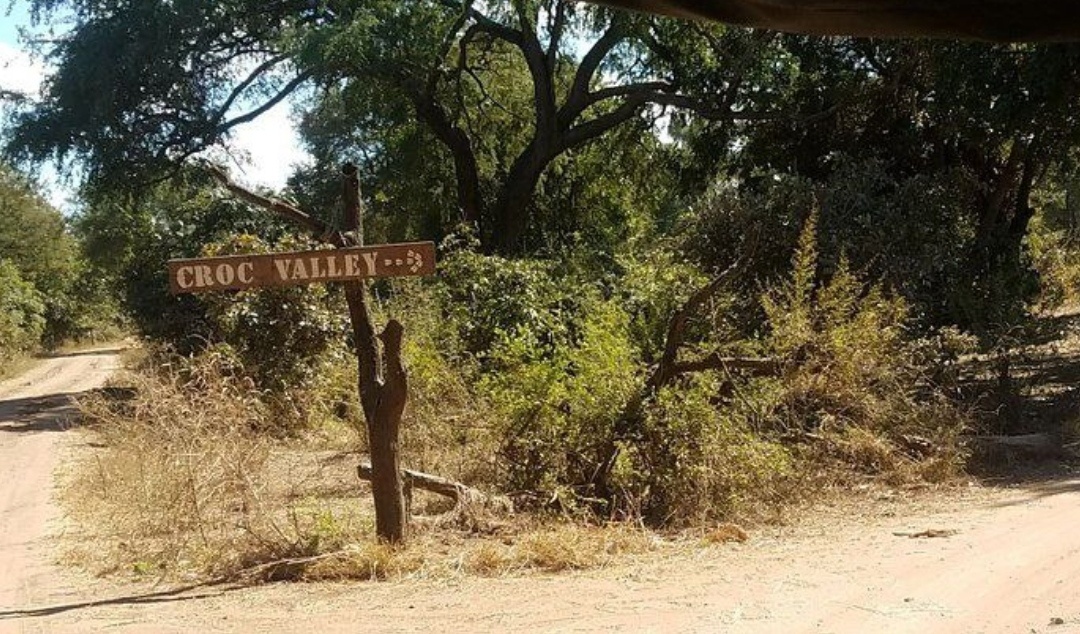 Croc Valley Camp. Южная Луангва 