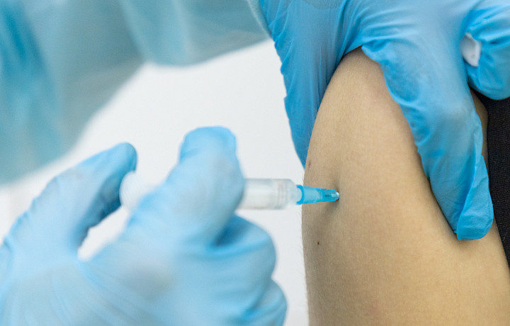 Фото: Тульская служба новостей