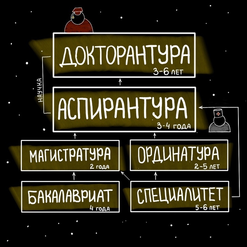 Цифры ударили мне в голову…