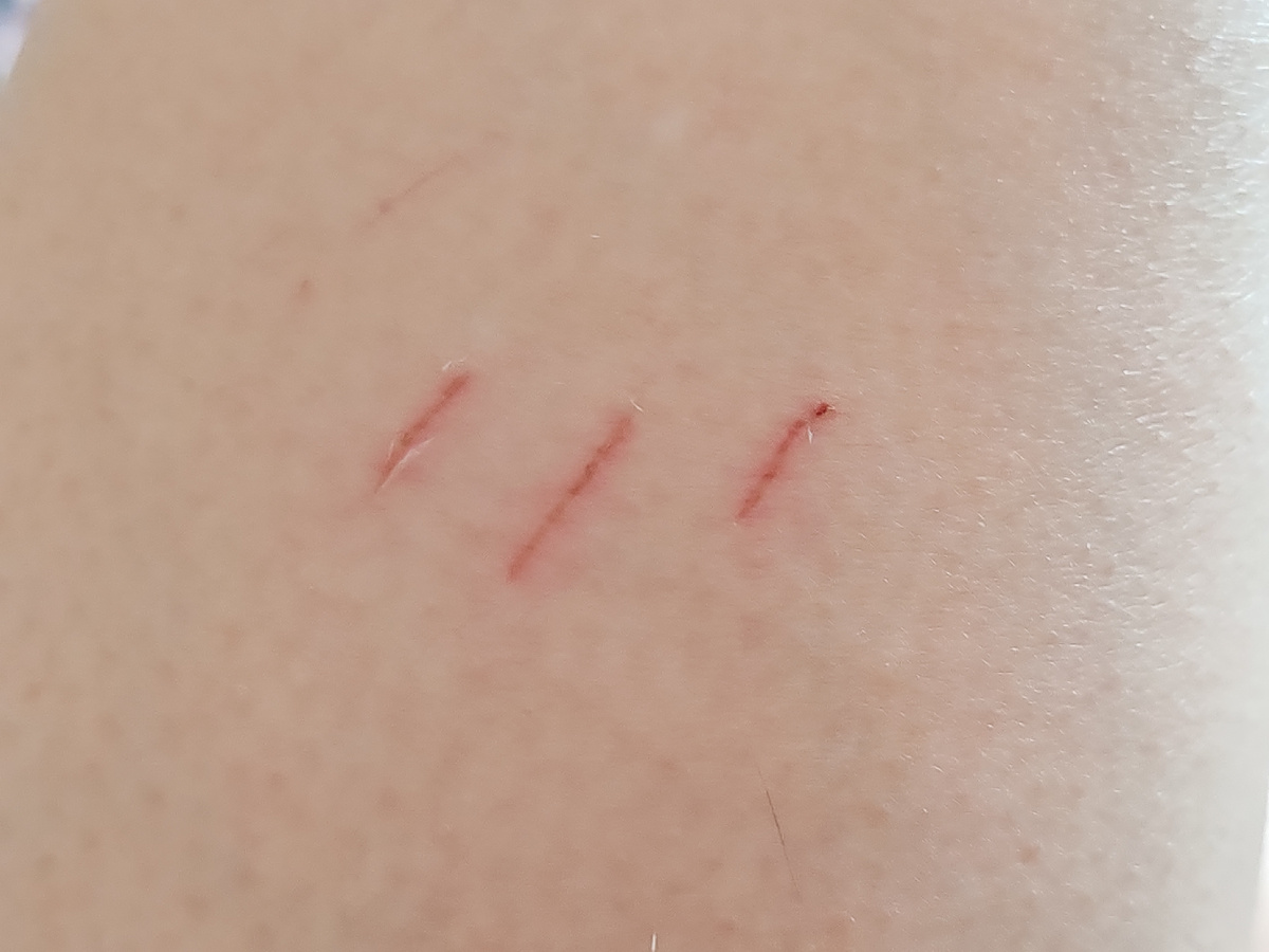 Фото автора канала. 