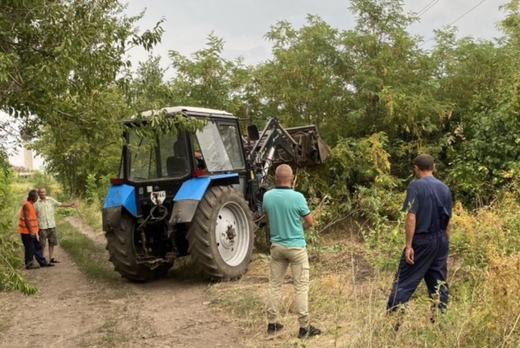     Уничтожение сорняка-вампира в поселке Меловое в ЛНР прошло с участием жителей
