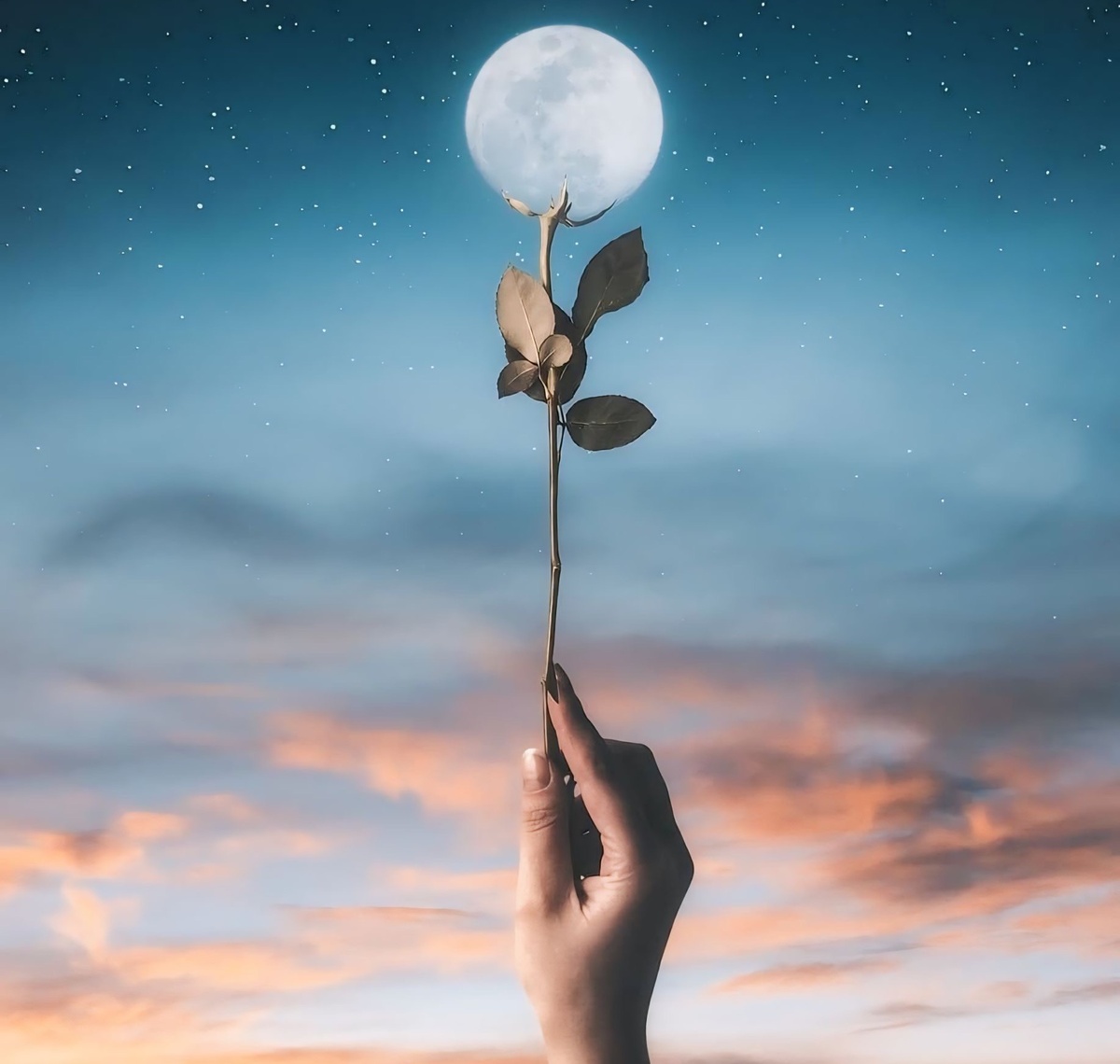 А ещё 18-х сравнивают с лунатиками. Они как-будто с Луны свалились