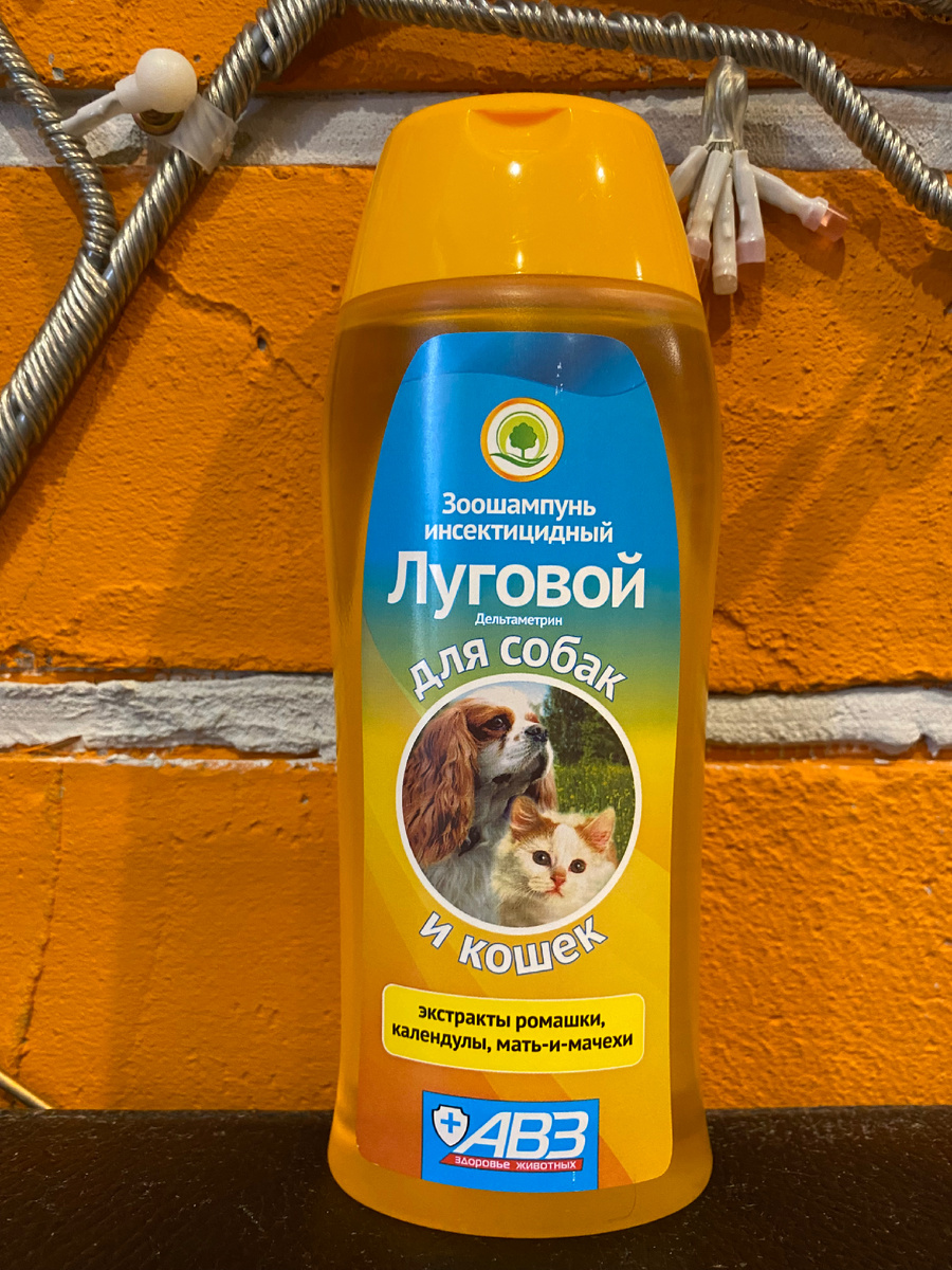 Шампунь от блох.