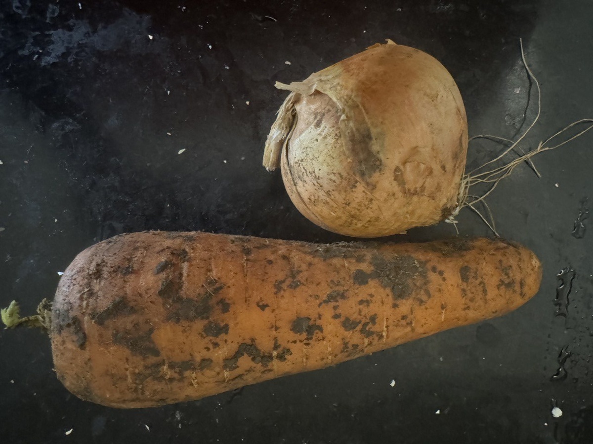Морковь и репчатый лук — дополнительные ингредиенты бульона