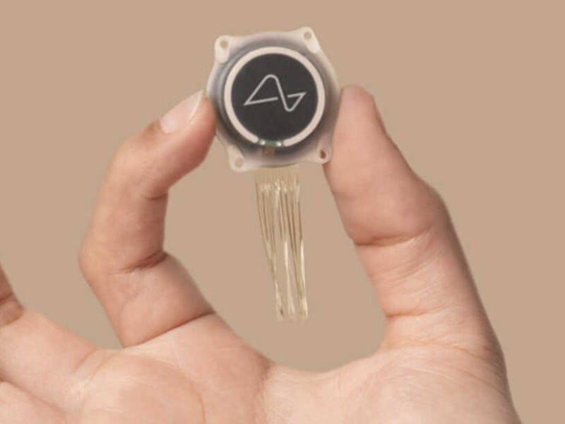    Учёные: потенциал Neuralink преувеличен