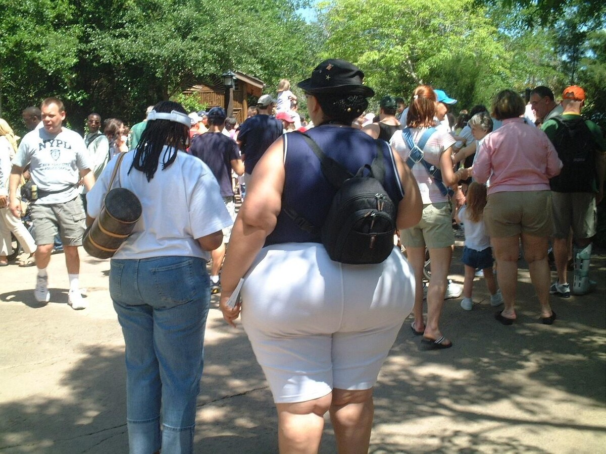 Примерно так это выглядело. Фото из интернета.