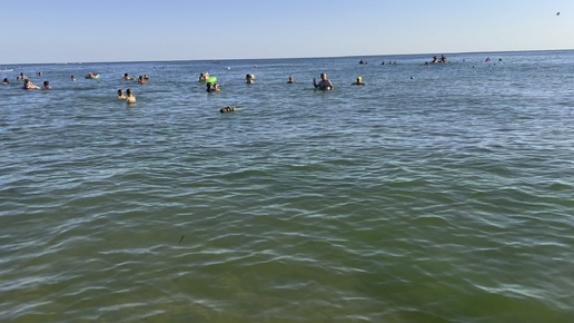 Море в Анаре , Витязево сейчас 8 августа. Чистое море. Водоросли только у берега. 27 градусов температура воды. Воздух 30