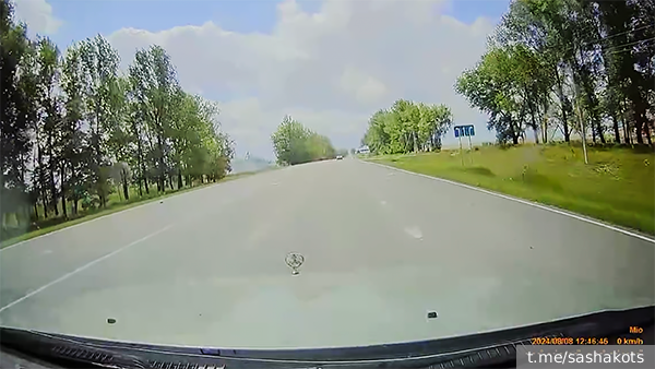     Фото: t.me/sashakots   
 Текст: Валерия Городецкая