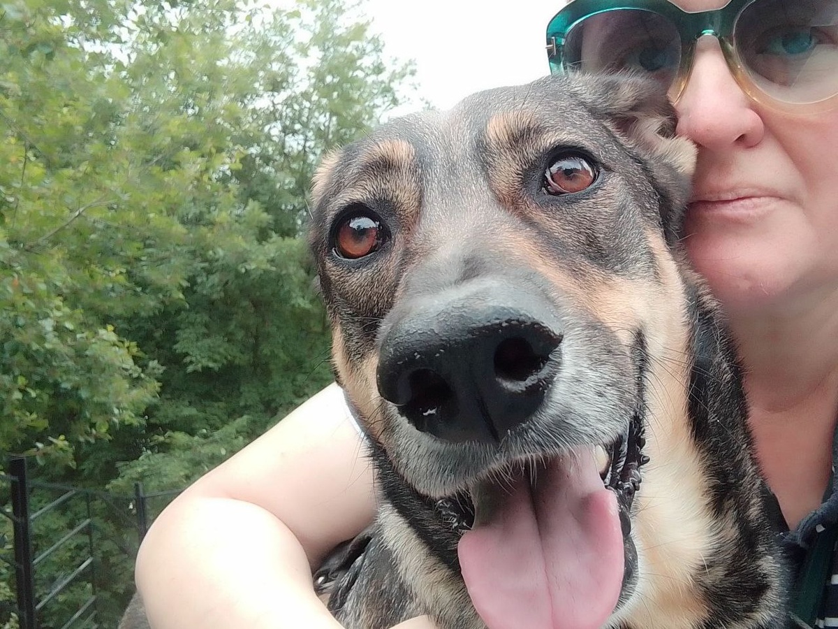 Одичали мы с Тосей без кинологов. Живëм как хотим