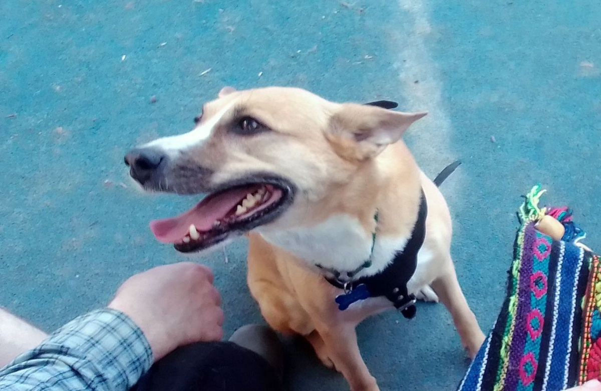 Алиса, в отличие от меня, добрая