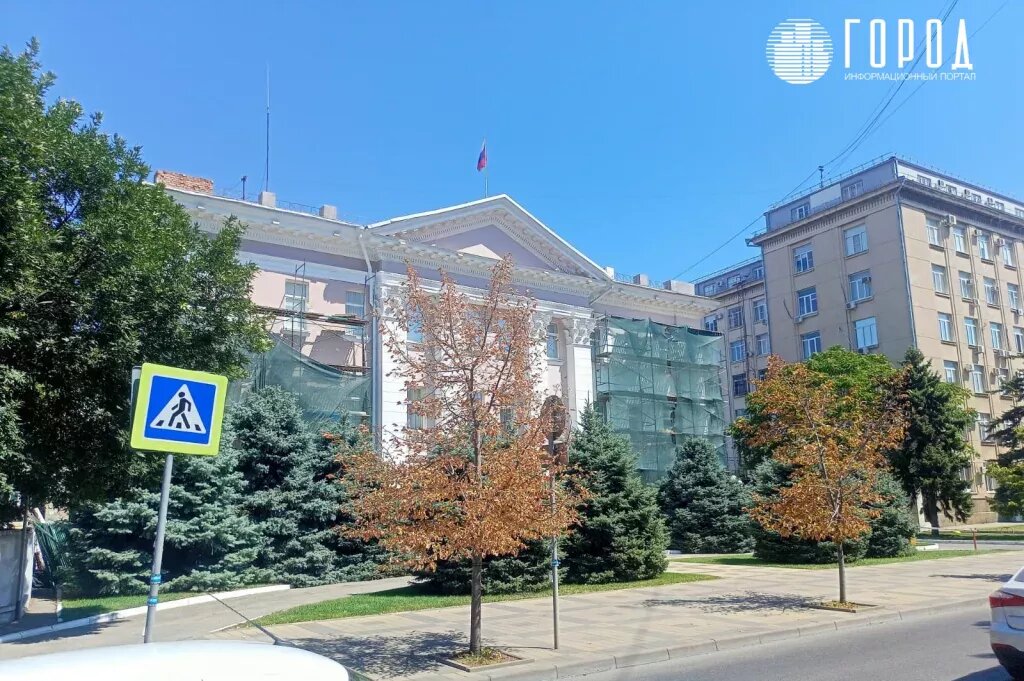 Два сухих дерева перед елями