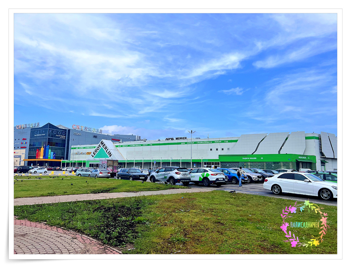 Почти идеальный кадр. Человек, как бы, и не виноват, но он виноват всё же, не находите? ))) 