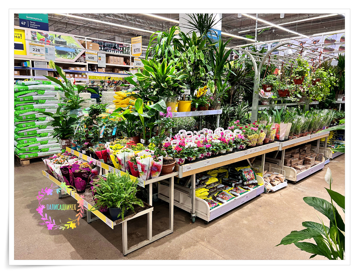 Ещё вправо. ⏩⏩