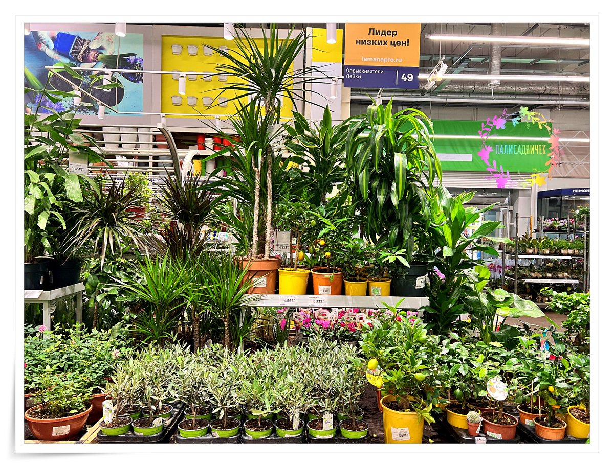 И ещё правее. ⏩⏩