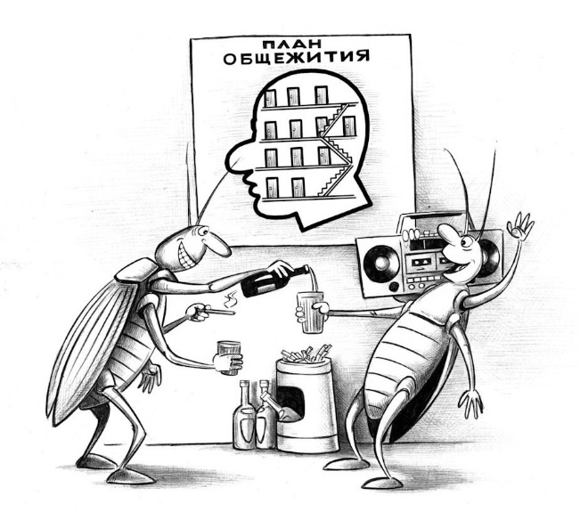 Или типа такой