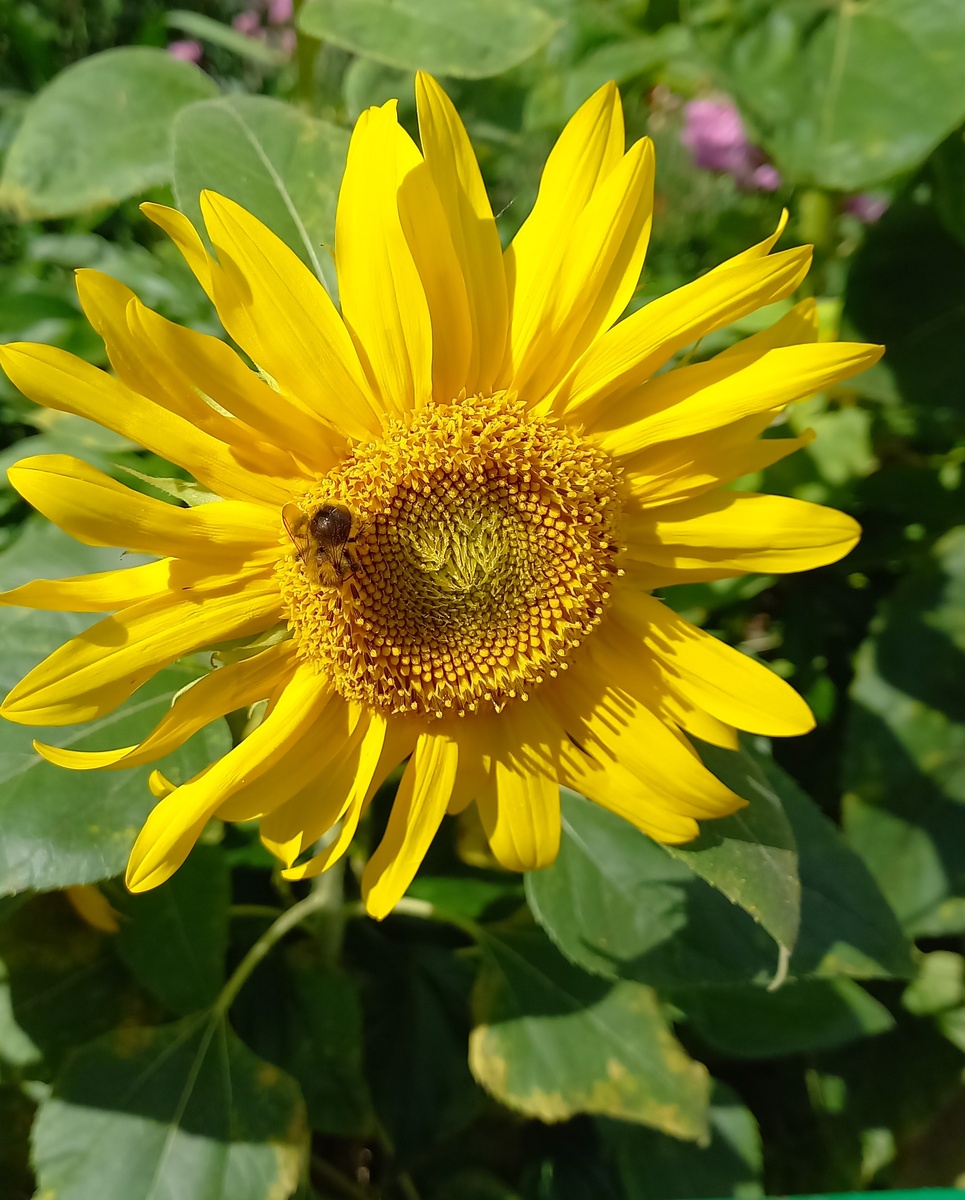 В статье все фото автора