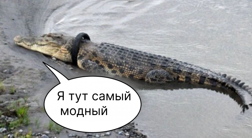 Крокодил шину не отдает, ест плотно и регулярно