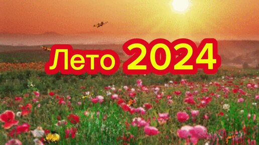 Лето 2024