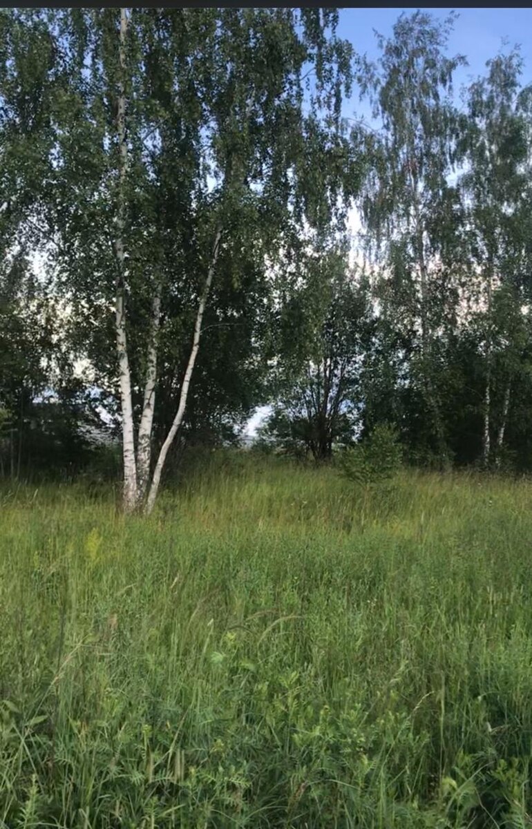 Прошлой осенью у нас появилась надежда получить вот этот прекраснейший земельный участок. Мы много лет мечтали о том, как будем выращивать  овощи, фрукты и ягоды для нашей семьи. И вот мы у цели…