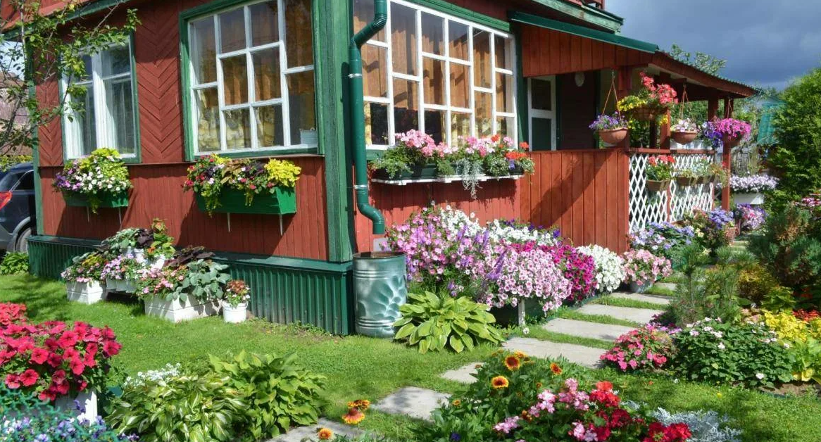 Яндекс картинки