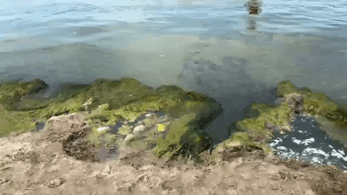    Видео с Telegram-канала Pravda.ru