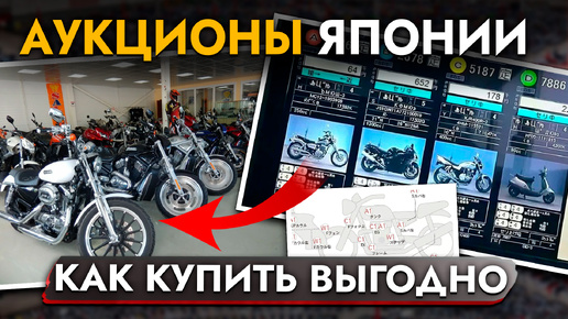 КАК КУПИТЬ ЛУЧШИЙ МОТОЦИКЛ ИЗ ЯПОНИИ❓ВСЕ ПРО АУКЦИОНЫ BDS I JBL I AUCNET❗️ КАК УЗНАТЬ СТОИМОСТЬ МОТОЦИКЛА САМОМУ❓