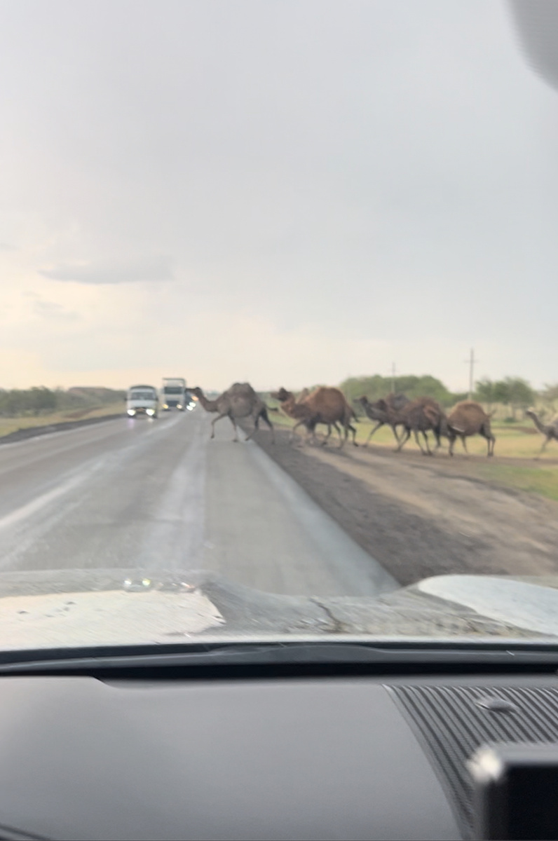 Это мой стоп кадр . 