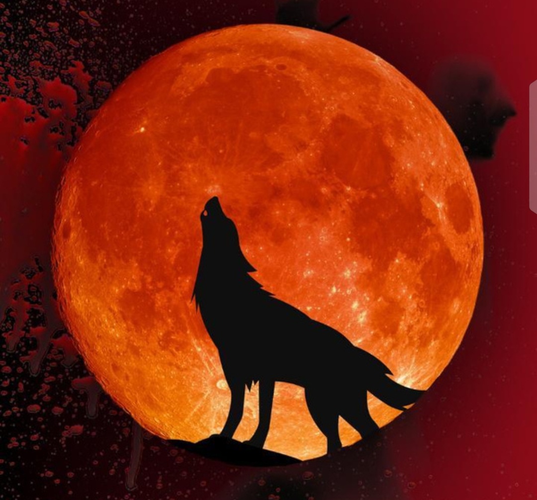 Охотничью Луну во все времена называют по-разному. Этот вариант появился из-за сезонности явления — в конце октября раньше обычно начинали активную охоту, чтобы плотно запастись дичью на всю зиму. Плюс, этот период отлично подходит для магических ритуалов, в том числе и не самых доброжелательных (но мы с тобой так делать не будем).Особенно под влияние Охотничьей Луны попадут Тельцы, Львы, Скорпионы и Водолеи (это касается и тех, у кого Луна или асцендент в этих знаках). Постарайтесь просто не действовать спонтанно и не следовать странному зову изнутри, который, скорее всего, очень далек от истинных мыслей.