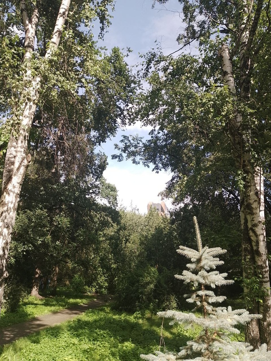 Фото автора.
