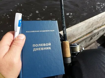 Полевые дневники чаще всего выдаются, поэтому выглядят доаольно стандартно