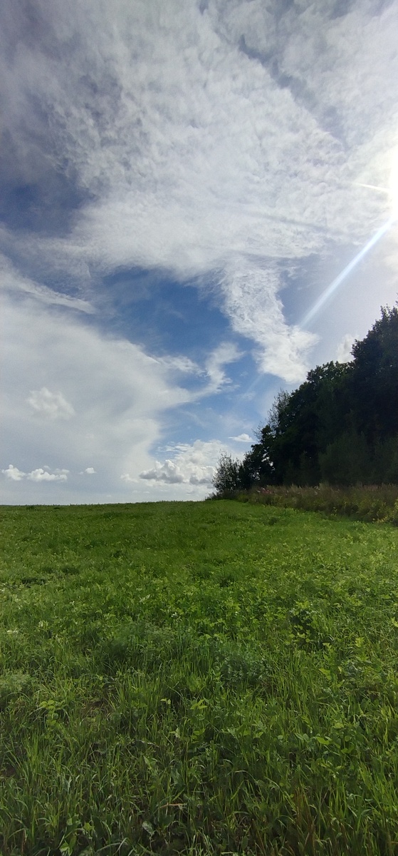 Личное фото