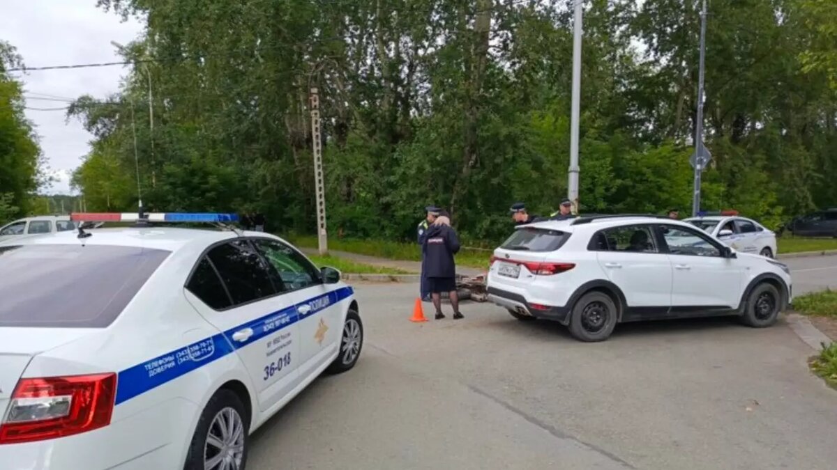     Источник: ГИБДД по Свердловской области