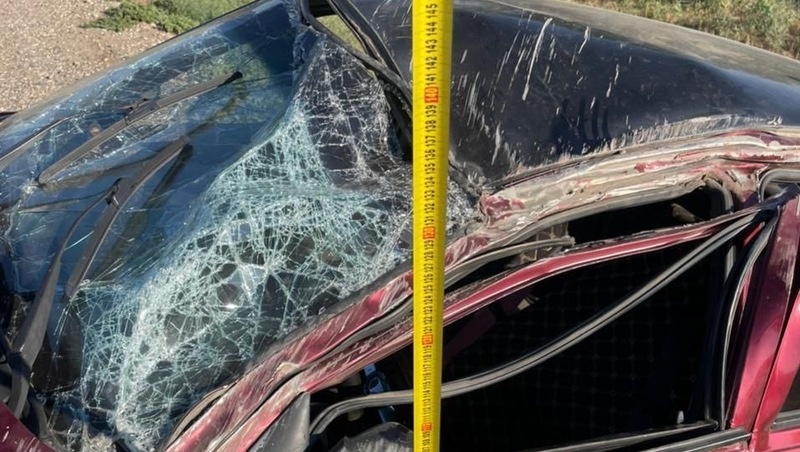      Фото: Госавтоинспекция СК