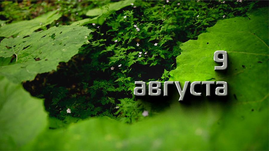     А что у нас в календаре? 9 августа