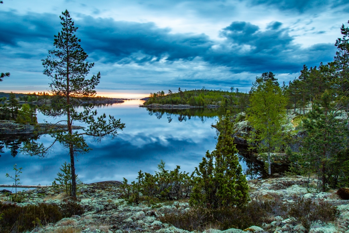 Фото: shutterstock