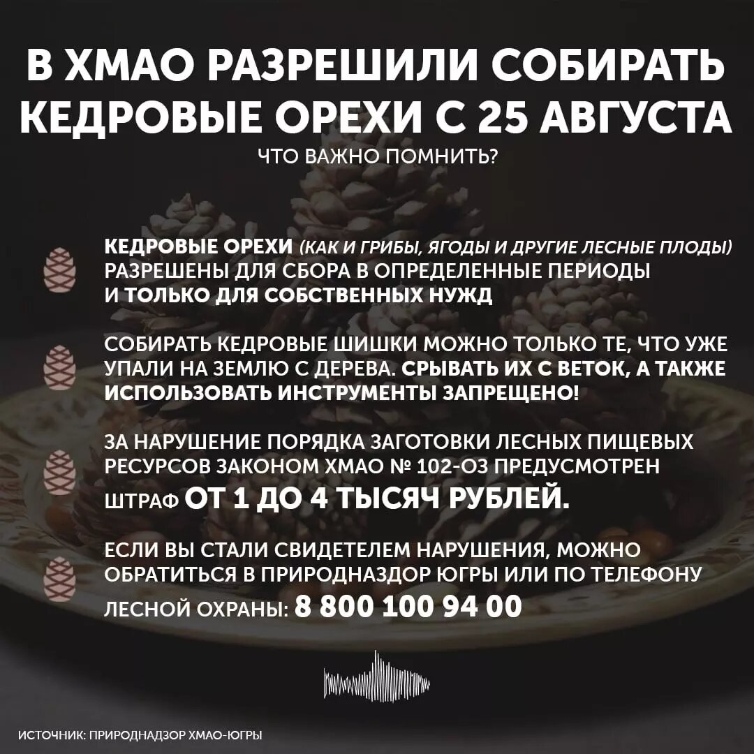     Источник: muksun.fm