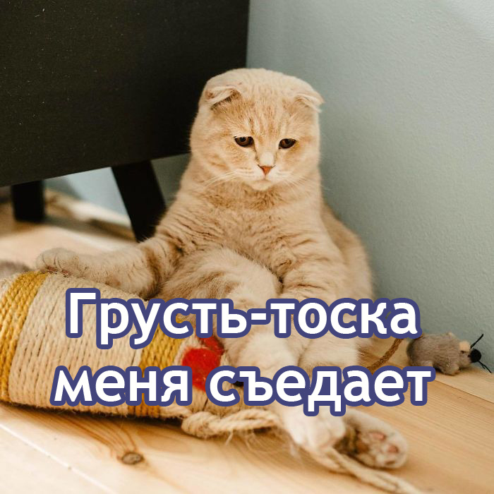 Фото - соцсети