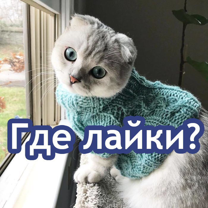 Фото - соцсети