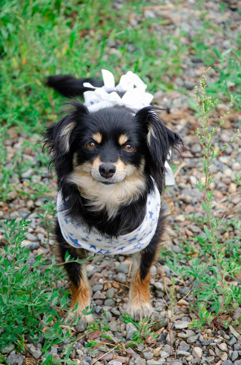 Малышка Майя