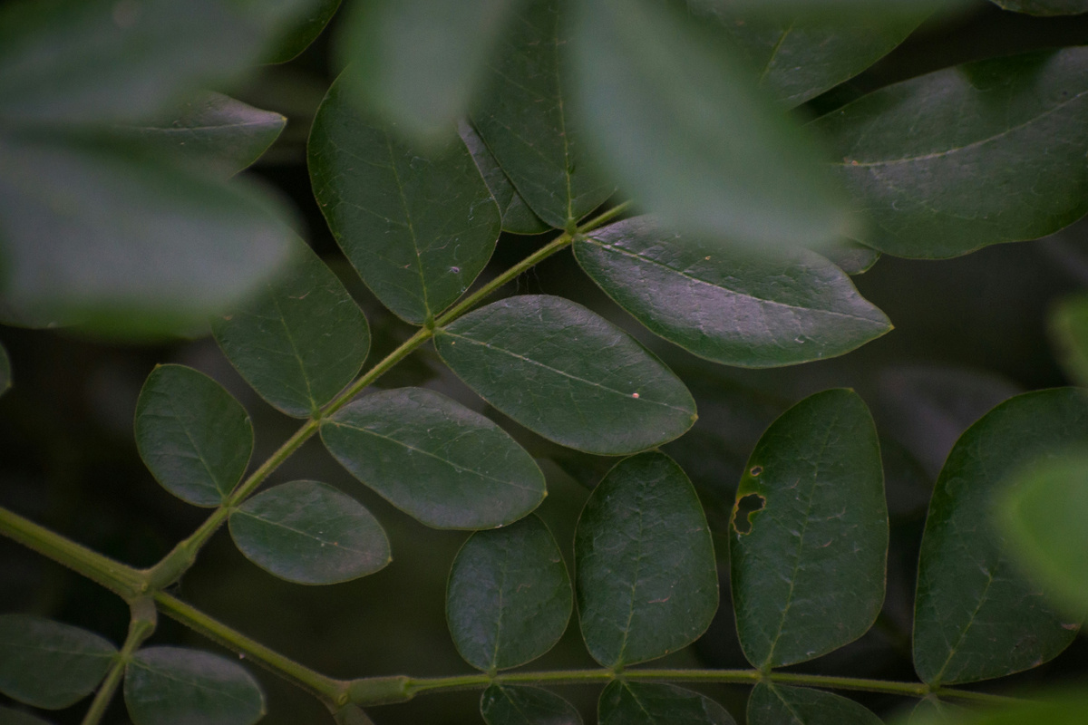 Картинка с бесплатного фотостока https://unsplash.com, автор Sonika Agarwal
