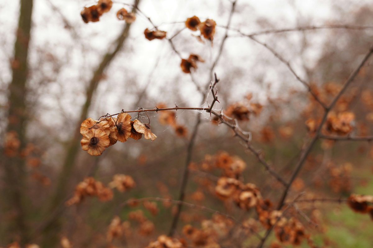 Картинка с бесплатного фотостока https://unsplash.com, автор Aelx