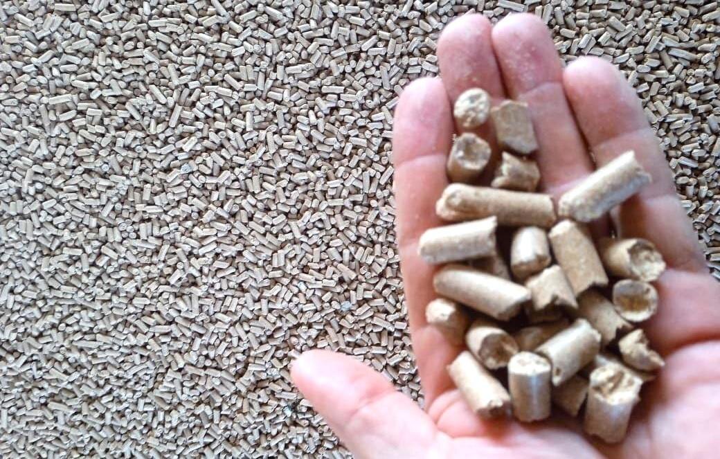 Фото: АПК Новости